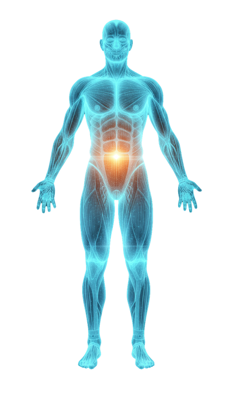 Dijital Sağlık İkiz